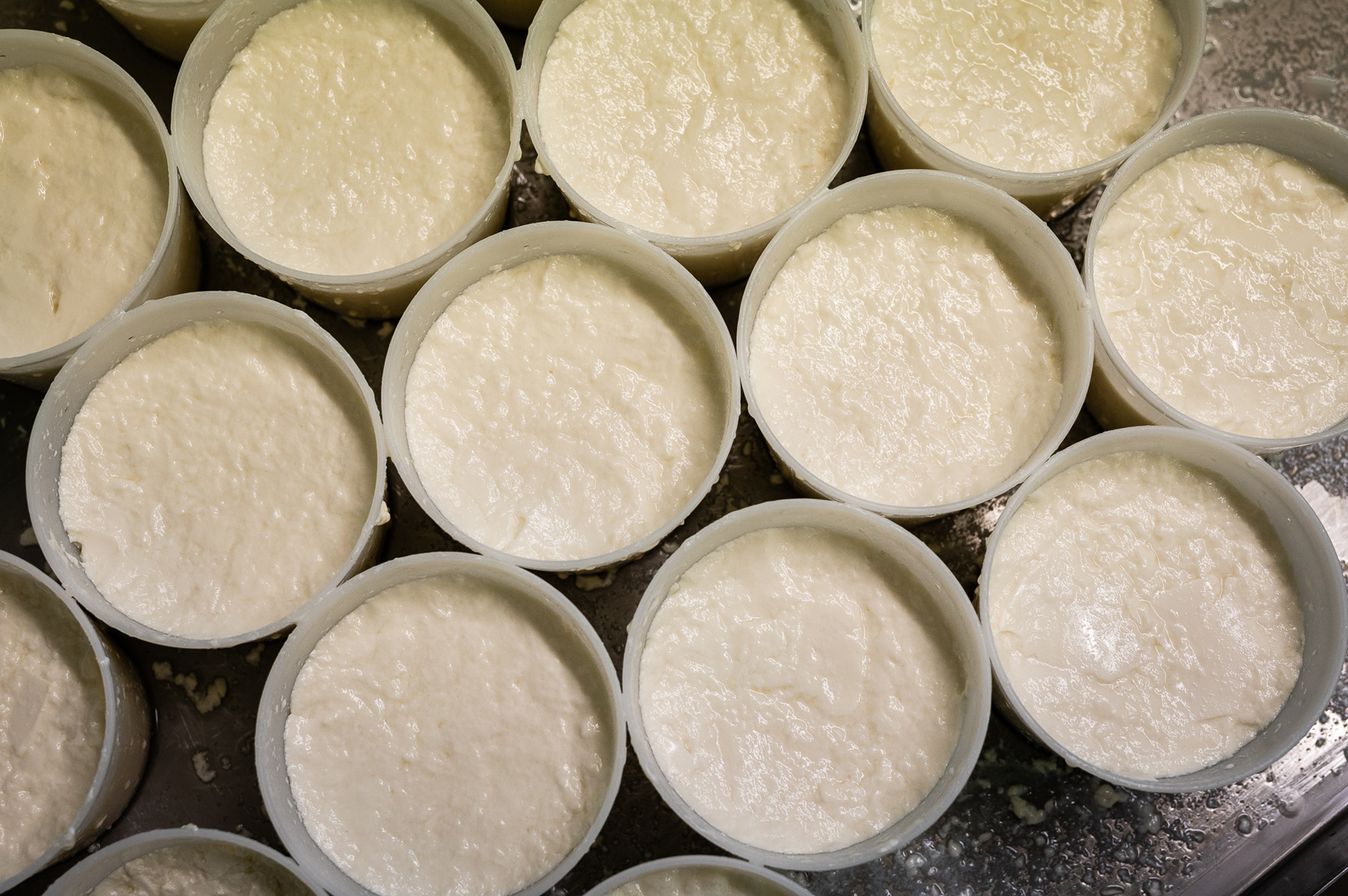 La transformation des fromages