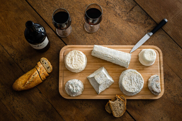 Les Fromagines - fromages-de-chèvres-Les-delices-de-Paul-et-Ninon-Amailloux-deux-sevres-77